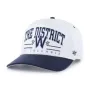 WASHINGTON NATIONALS CITY CONNECT ROSCOE ROPE BVHATS 47 HITCH
