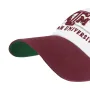 TEXAS A&M AGGIES GRIDIRON BVHATS 47 CLEAN UP