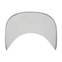 MINNESOTA GOLDEN GOPHERS BVHATS 47 HITCH