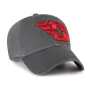 DAYTON FLYERS BVHATS 47 CLEAN UP