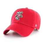 WISCONSIN BADGERS BVHATS 47 CLEAN UP