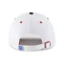 DETROIT LIONS PATRIOTIC FLAG FILL BVHATS 47 CLEAN UP