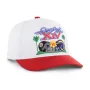 SUPER BOWL DUELING ARCH CHAMP BVHATS 47 HITCH RF RELAXED FIT