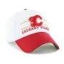 CALGARY FLAMES ARENA BVHATS 47 CLEAN UP