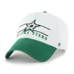 DALLAS STARS ARENA BVHATS 47 CLEAN UP