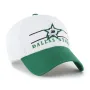 DALLAS STARS ARENA BVHATS 47 CLEAN UP