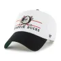 ANAHEIM DUCKS ARENA BVHATS 47 CLEAN UP