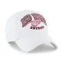 DETROIT RED WINGS STARK BVHATS 47 CLEAN UP