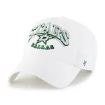 DALLAS STARS STARK BVHATS 47 CLEAN UP