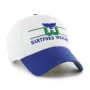 HARTFORD WHALERS VINTAGE ARENA BVHATS 47 CLEAN UP