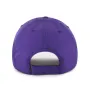 PHOENIX SUNS BRRR BVHATS 47 CLEAN UP