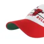 CHICAGO BULLS ARENA BVHATS 47 CLEAN UP