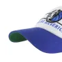 DALLAS MAVERICKS ARENA BVHATS 47 CLEAN UP