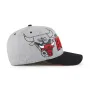 CHICAGO BULLS OVERSHADOW BVHATS 47 HITCH