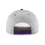 PHOENIX SUNS OVERSHADOW BVHATS 47 HITCH