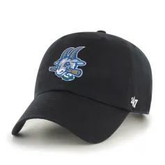 HARTFORD YARD GOATS BVHATS 47 CLEAN UP