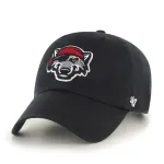 ERIE SEAWOLVES BVHATS 47 CLEAN UP