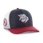 LEHIGH VALLEY IRONPIGS SIDE NOTE BVHATS 47 TRUCKER