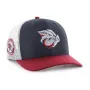 LEHIGH VALLEY IRONPIGS SIDE NOTE BVHATS 47 TRUCKER