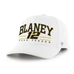 RYAN BLANEY / TEAM PENSKE ROSCOE BVHATS 47 HITCH