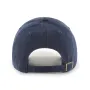 GOLDENDOODLE BASE RUNNER BVHATS 47 CLEAN UP