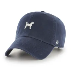 GOLDENDOODLE BASE RUNNER BVHATS 47 CLEAN UP