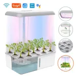 Tuya WiFi Plant Hydroponic Planting System LED Light Soilless Smart Planter Automatic Watering Indoor Home Gardening Planter