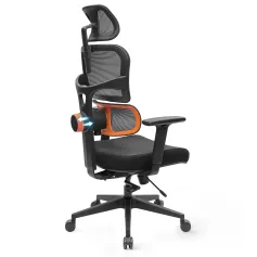 [Standart Sürüm] NEWTRAL Ergonomik Ofis Koltuğu Benzersiz Ayarlanabilir Bel Desteği, Ayarlanabilir Sırtlık ve Oturma Alanı Derinliği, Eğim Fonksiyonu, Baş Desteği 3D Kolçaklar, Bilgisayar Koltuğu Siyah