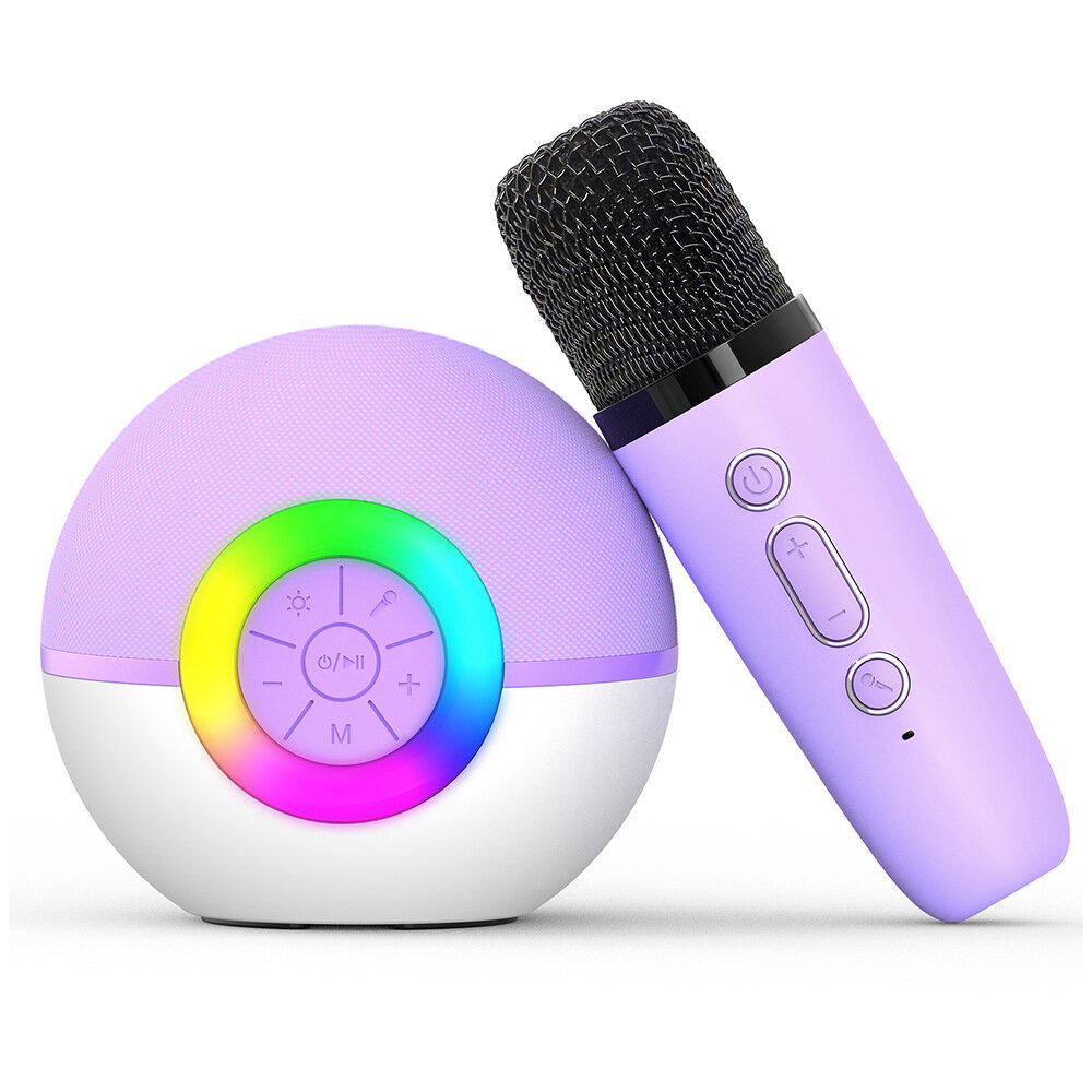 Microphones & Karaoke Equipment