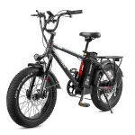 [USA Direct] SAMEBIKE XWC05 13Ah 48V 750W 20*4.0 Inches Electric Bike Smart Bike 60-80km Mileage Max Load 100-150kg With EU Plug Dual Dics Brake