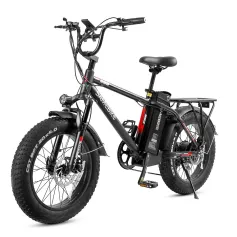 [USA Direct] SAMEBIKE XWC05 13Ah 48V 750W 20*4.0 Inches Electric Bike Smart Bike 60-80km Mileage Max Load 100-150kg With EU Plug Dual Dics Brake
