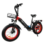 [USA Direct] BAOLUJIE DP-2003 48V 12AH 500W 20*4.0inch Electric Bicycle 30-40KM Max Mileage 120KG Payload Electric Bike