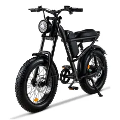 [USA DIRECT] Riding's times Z8 48V 15A 500W 20*4.0 Inch Fat Tire Electric Bike 90-120km Max Range Dual Mechanical Disc Brake