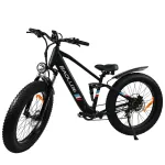 [EUA diretos] BAOLUJIE DP-2615 48V 12AH 500W 26 * 4,0 polegadas Bicicleta Elétrica 30-40KM Quilometragem Máxima 120KG Carga Útil Bicicleta Elétrica