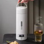IPRee Temperature Water Mini Electric Kettle 500ml Adjustable Three-layer Anti-scalding Cup Body Travel Outdoor School Home Boiler Bottle