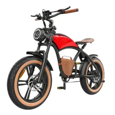 [USA Direct] Hidoes B10 Electric Bike 48V 12.5AH Battery 1000W Motor 20inch Tires 20-40KM Max Mileage 150KG Max Load Electric Bicycle