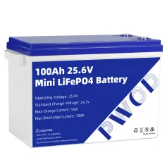 PWOD 25.6V 100Ah 2560Wh Mini LiFePO4 Battery Storage Box RV & Boat Lithium Battery Built-in BMS IP65 Protection