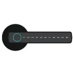 Studioäänitys ja live-esiintyminen