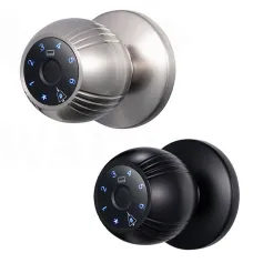 WAFU WF-Q8 Smart Door Lock Aluminum Alloy WiFi Fingerprint Password Card Key App Remote Control High Capacity Storage Sliding Door Electronic Lock