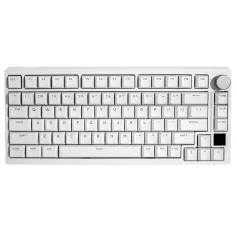 GAMAKAY TK75HE-V2 Magnetic Switch Mechanical Gaming Keyboard 81-Keys Wired RGB Backlit 0.01mm RT Accuracy TOP Structure PBT Keycaps Type-C Wired Keyboards for PC Laptop Computer