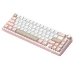 RK RKR65 Tri-mode Mechanical Gaming Keyboard with Knob Hot Swappable Gasket Structure 66 keys RGB Yanyu Switch 65% Layout Customized Keyboards