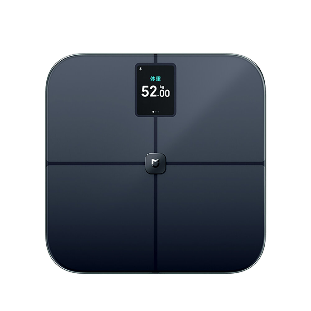 Body Fat Monitors