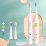 BORUI IPX7 3 Mode Battery Operated Electric Toothbrush with 3 Brush Heads Oral Hygiene Health Products