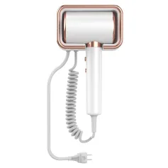 2000W Powerful Ionic Wall-mounted Hair Dryer with Constant Temperature No Damage Hotel Hair Styling 3 Levels