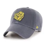 MICHIGAN WOLVERINES VINTAGE BVHATS 47 CLEAN UP