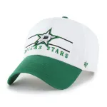 DALLAS STARS ARENA BVHATS 47 CLEAN UP