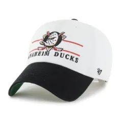ANAHEIM DUCKS ARENA BVHATS 47 CLEAN UP