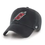 CAROLINA HURRICANES BVHATS 47 CLEAN UP