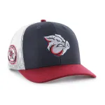 LEHIGH VALLEY IRONPIGS SIDE NOTE BVHATS 47 TRUCKER