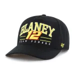 RYAN BLANEY / TEAM PENSKE ROSCOE BVHATS 47 HITCH